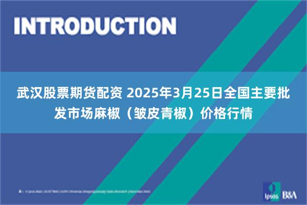 武汉股票期货配资 2025年3月25日全国主要批发市场麻椒（皱皮青椒）价格行情