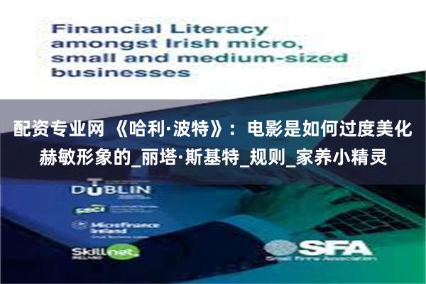 配资专业网 《哈利·波特》：电影是如何过度美化赫敏形象的_丽塔·斯基特_规则_家养小精灵