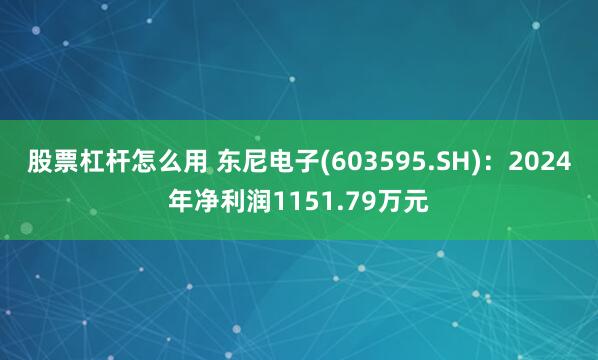 股票杠杆怎么用 东尼电子(603595.SH)：2024年净利润1151.79万元