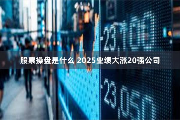 股票操盘是什么 2025业绩大涨20强公司