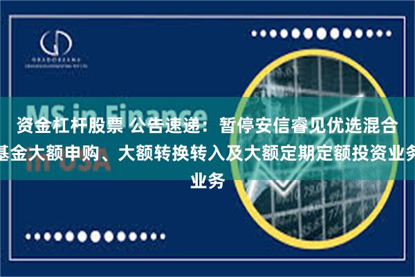 资金杠杆股票 公告速递：暂停安信睿见优选混合基金大额申购、大额转换转入及大额定期定额投资业务