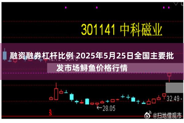 融资融券杠杆比例 2025年5月25日全国主要批发市场鲟鱼价格行情