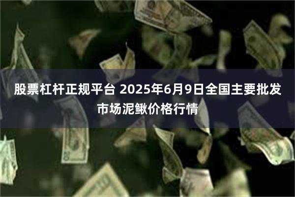 股票杠杆正规平台 2025年6月9日全国主要批发市场泥鳅价格行情