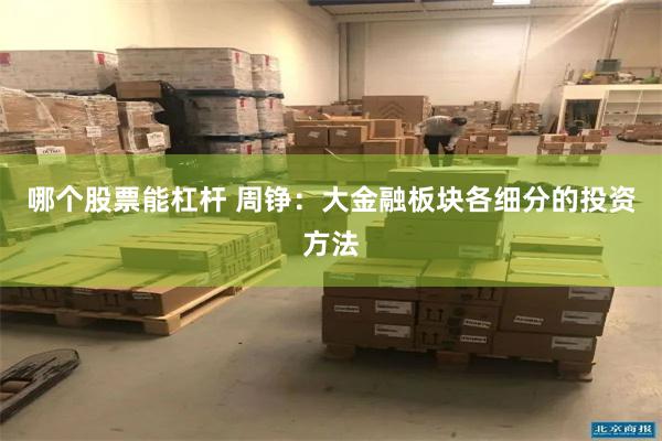 哪个股票能杠杆 周铮：大金融板块各细分的投资方法